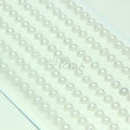 perola5mm-branca-per-br-5mdy