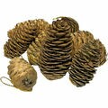 Pinhas Natalinas de Fibra Natural 10 unid. - Ref. MD-10