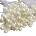 Pistilo Nylon 200 unid - Branco Perolado Ref. 924