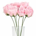 Buquê de Rosas Perfumadas em E.V.A 6 unid.- Ref.354-16 Rosa
