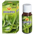 Essência Oleosa 10ml - Fragrância Essência Oleosa 10ml - Fragrância:Eucaliptus