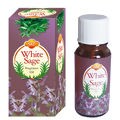 Essência Oleosa 10ml - Fragrância Essência Oleosa 10ml - Fragrância:Sábia Branco