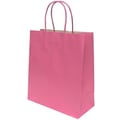 Sacola de Papel Lisa 22 x 17 x 8cm Cores:Rosa