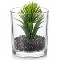 Suculenta Artificial com Vaso de Vidro 8cm Ref. MOD1