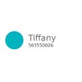 Paint Draw 300ml. 310 Tiffany