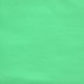 TNT 40g por Metro Cor:Verde Claro Ref.02