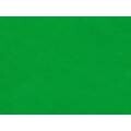 Saco de T.N.T Nº 5 - 24x45cm Verde Bandeira - 10 unid.