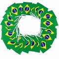 Varal de Bandeiras do Brasil 14 x 21 cm 10 metros