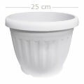 vaso-plastico-branco-m