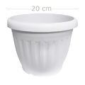 vaso-plastico-branco-p