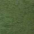 Papel Crepom Parafinado Reipel Verde Musgo